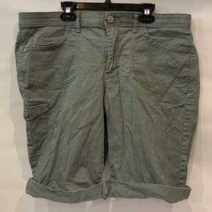 Gloria Vanderbilt shorts, pockets, green/gray -ish, size 16P, petite